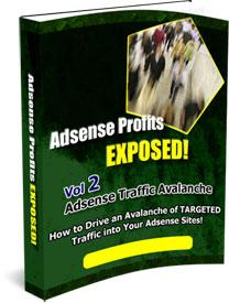 Adsense Profits Exposed 2