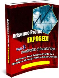 Adsense Profits Exposed 3