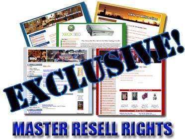 85 Niche Adsense Ready Websites